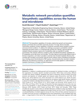 Metabolic Network Percolation Quantifies Biosynthetic Capabilities