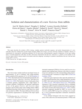 Isolation and Characterization of a New Vesivirus from Rabbits