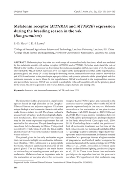 Melatonin Receptor (MTNR1A and MTNR2B) Expression During the Breeding Season in the Yak (Bos Grunniens)