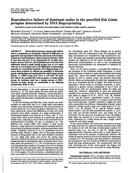 Reproductive Failure of Dominant Males in the Poeciliid Fish Limia