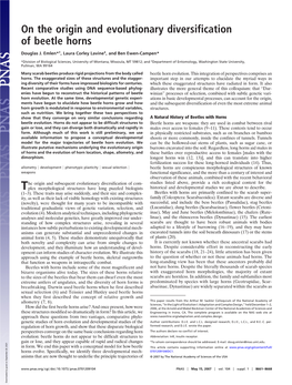 On the Origin and Evolutionary Diversification of Beetle Horns