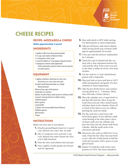 Cheese Recipes