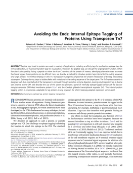 Internal Epitope Tagging of Proteins Using Transposon Tn7