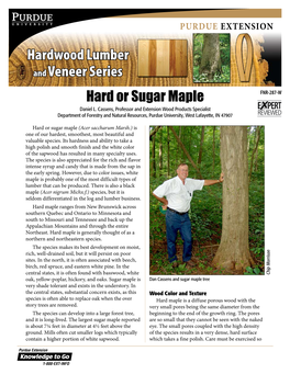 Hard Or Sugar Maple FNR-287-W Daniel L