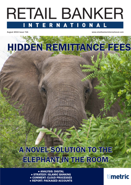 Hidden Remittance Fees