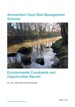 Ammanford Flood Risk Management Scheme Environmental Constraints