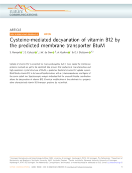 Cysteine-Mediated Decyanation of Vitamin B12 by the Predicted Membrane Transporter Btum