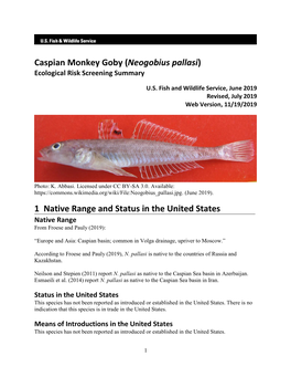 Neogobius Pallasi (Caspian Monkey Goby) Ecological Risk Screening Summary