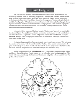 Motor Systems Basal Ganglia