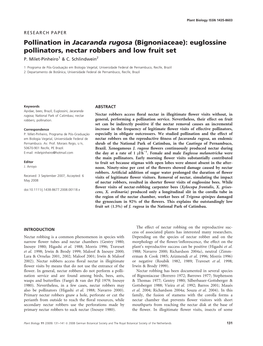 Pollination in Jacaranda Rugosa (Bignoniaceae): Euglossine Pollinators, Nectar Robbers and Low Fruit Set P