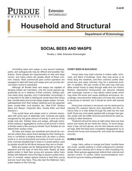 Social Bees and Wasps