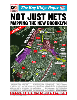 Not Just Nets Mapping the New Brooklyn