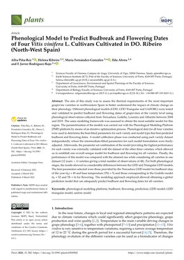 Phenological Model to Predict Budbreak and Flowering Dates of Four Vitis Vinifera L