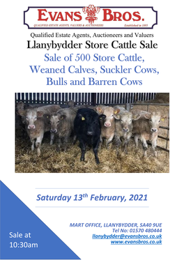 Sale of 500 Store Cattle, Weaned Calves, Suckler Cows, Bulls and Barren Cows