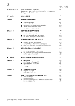 Rapport De Présentation I