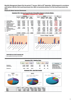 Chief Executive Monthly Management Report September 2016