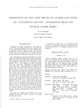 DESCRIPTION of TWO NEW SPECIES of LIZARDS and NOTES on FITZSIMONSIA Iabrtfipes (FITZSIMONS) from the CENTRAL NAME DESERT