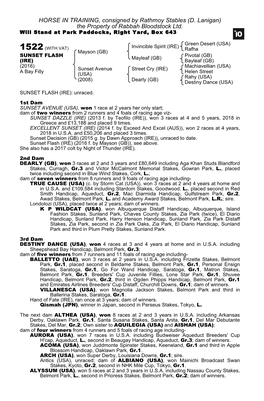HORSE in TRAINING, Consigned by Rathmoy Stables (D. Lanigan) the Property of Rabbah Bloodstock Ltd