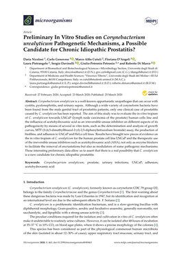 Preliminary in Vitro Studies on Corynebacterium Urealyticum Pathogenetic Mechanisms, a Possible Candidate for Chronic Idiopathic Prostatitis?