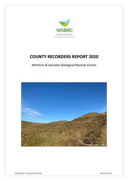 County Recorders Report 2020