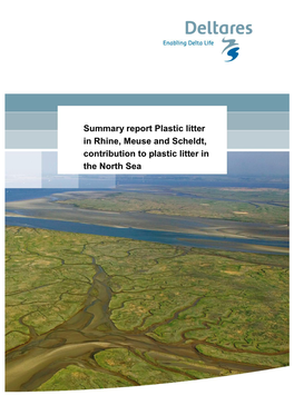 Summary Report Plastic Litter in Rhine, Meuse and Scheldt, Contribution to Plastic Litter in the North Sea