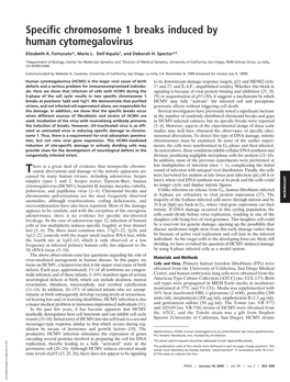 Specific Chromosome 1 Breaks Induced by Human Cytomegalovirus