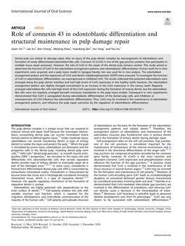 Role of Connexin 43 in Odontoblastic Differentiation and Structural Maintenance in Pulp Damage Repair