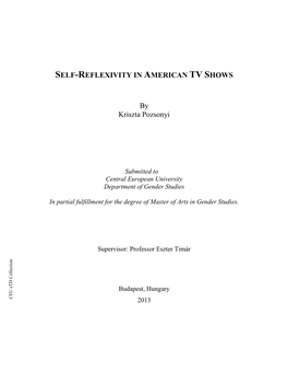 Self-Reflexivity in American