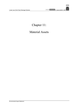 Chapter 11: Material Assets