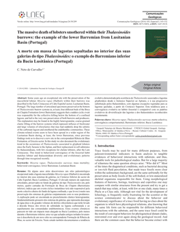 The Massive Death of Lobsters Smothered Within Their Thalassinoides Burrows: the Example of the Lower Barremian from Lusitanian Basin (Portugal)