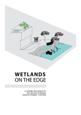 A Strategic Intervention for the Recovery of Jaboque Wetland in Bogotá - Colombia Wetlands on the Edge