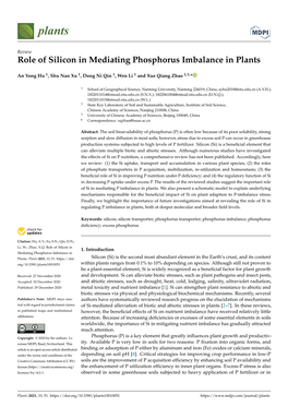 Role of Silicon in Mediating Phosphorus Imbalance in Plants