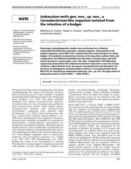 Isobaculum Melis Gen. Nov., Sp. Nov., a Carnobacterium-Like Organism