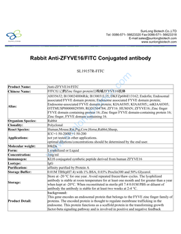 Rabbit Anti-ZFYVE16/FITC Conjugated Antibody