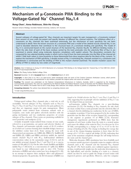 Mechanism of M-Conotoxin PIIIA Binding to the Voltage-Gated Na+