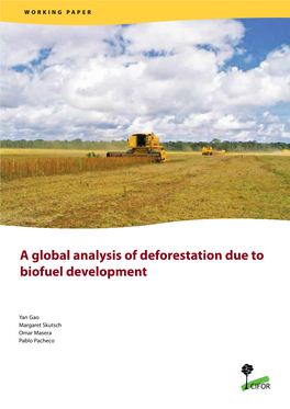 A Global Analysis of Deforestation Due to Biofuel Development