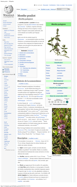 Menthe Pouliot — Wikipédia