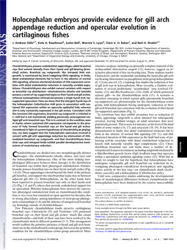 Holocephalan Embryos Provide Evidence for Gill Arch Appendage Reduction and Opercular Evolution in Cartilaginous ﬁshes