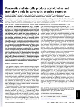 Pancreatic Stellate Cells Produce Acetylcholine and May Play a Role in Pancreatic Exocrine Secretion