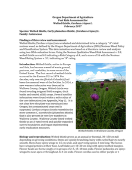 Oregon Department of Agriculture Pest Risk Assessment for Welted Thistle, Carduus Crispus L