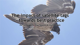 The Impact of Satellite Tags - Towards Best Practice Daniel Hegglin, José Tavares & Louis Phipps Content