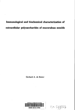 Immunological and Biochemical Characterization of Extracellular Polysaccharides of Mucoralean Moulds