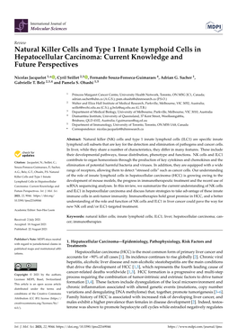 Natural Killer Cells and Type 1 Innate Lymphoid Cells in Hepatocellular Carcinoma: Current Knowledge and Future Perspectives