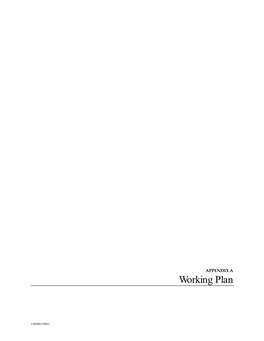 APPENDIX a Working Plan