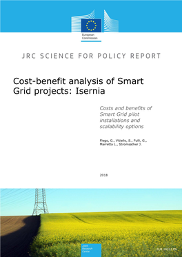 Cost-Benefit Analysis of Smart Grid Projects: Isernia