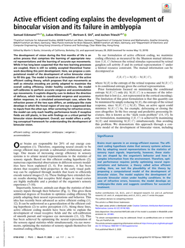 Active Efficient Coding Explains the Development of Binocular Vision