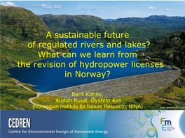 A Sustainable Future of Regulated Rivers and Lakes? What Can We Learn from the Revision of Hydropower Licenses in Norway?