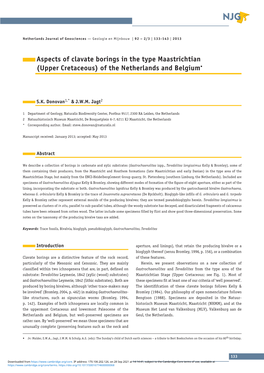 Upper Cretaceous) of the Netherlands and Belgium•
