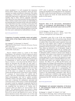 Morphological and Anatomical Adaptations of Boerhavia L. and Commicarpus Standl. to Survive in Arid Environments of Namibia