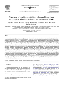 Phylogeny of Caecilian Amphibians (Gymnophiona) Based on Complete Mitochondrial Genomes and Nuclear RAG1